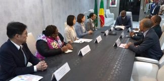 Congo/Japon : La Jica entend accélérer son appui au développement du secteur privé congolais
