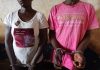 Bouenza/Faune : Un couple interpellé pour détention et tentative de trafic d’un bébé mandrill vivant à Nkayi